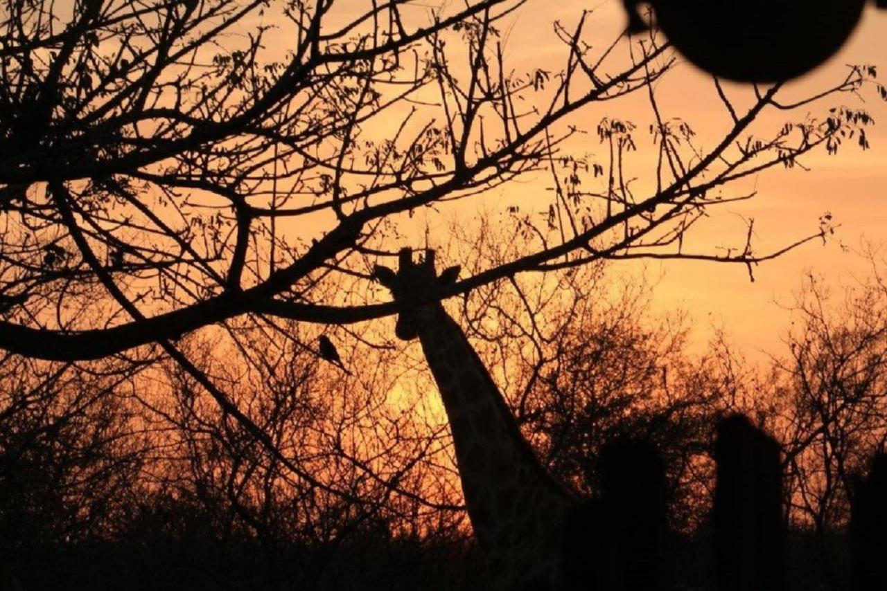 Bushvilla Umoja Kruger Phalaborwa Eksteriør bilde