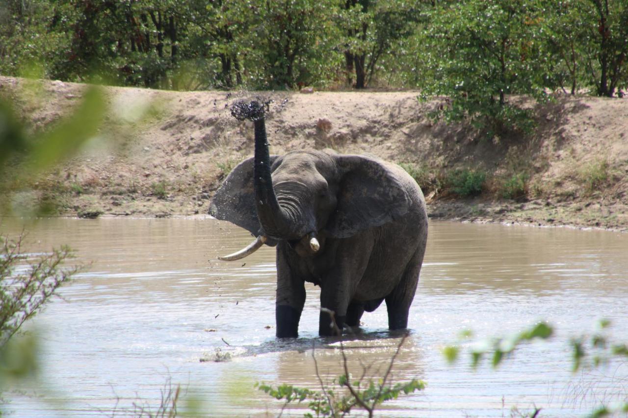 Bushvilla Umoja Kruger Phalaborwa Eksteriør bilde
