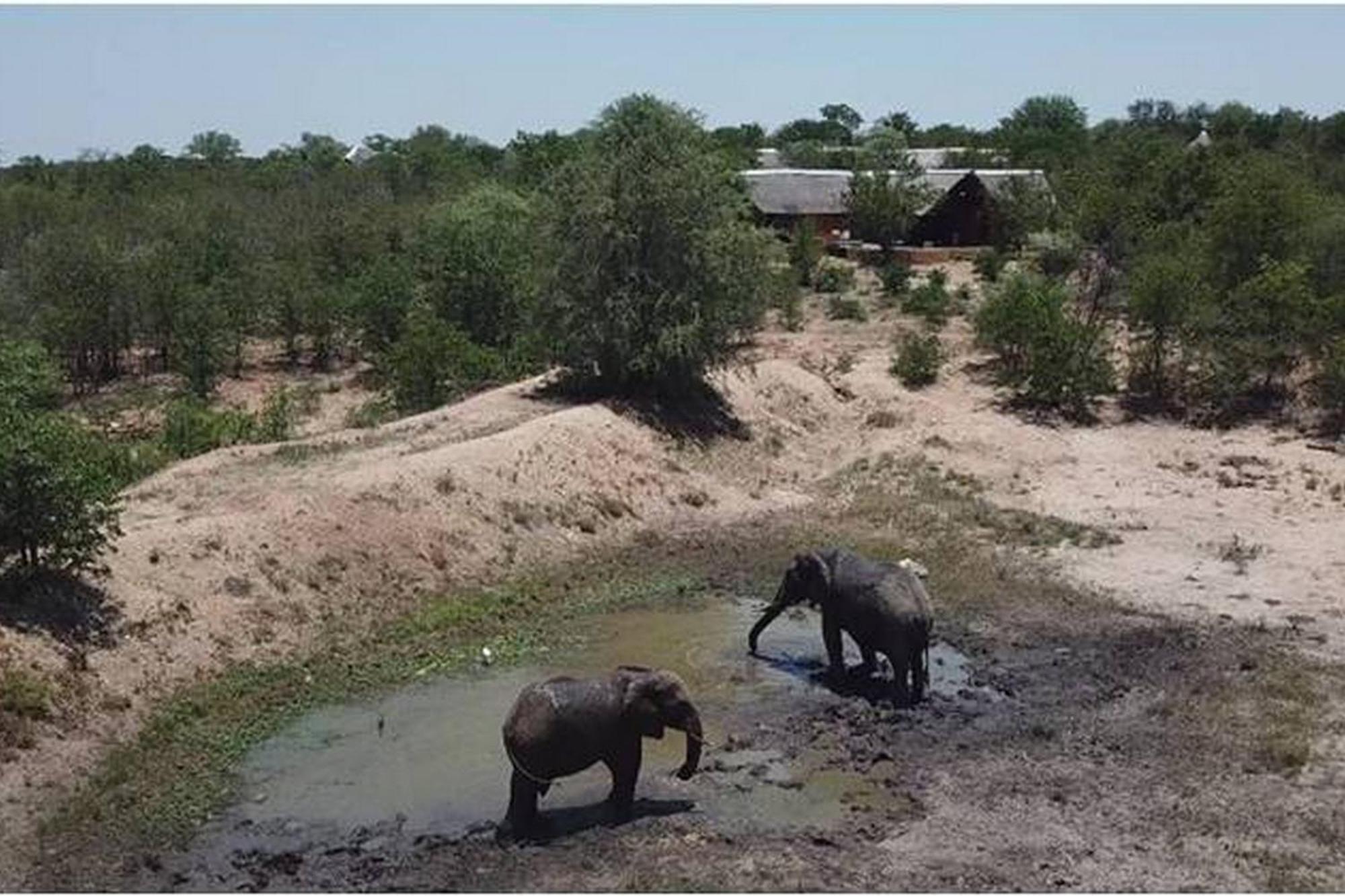 Bushvilla Umoja Kruger Phalaborwa Eksteriør bilde