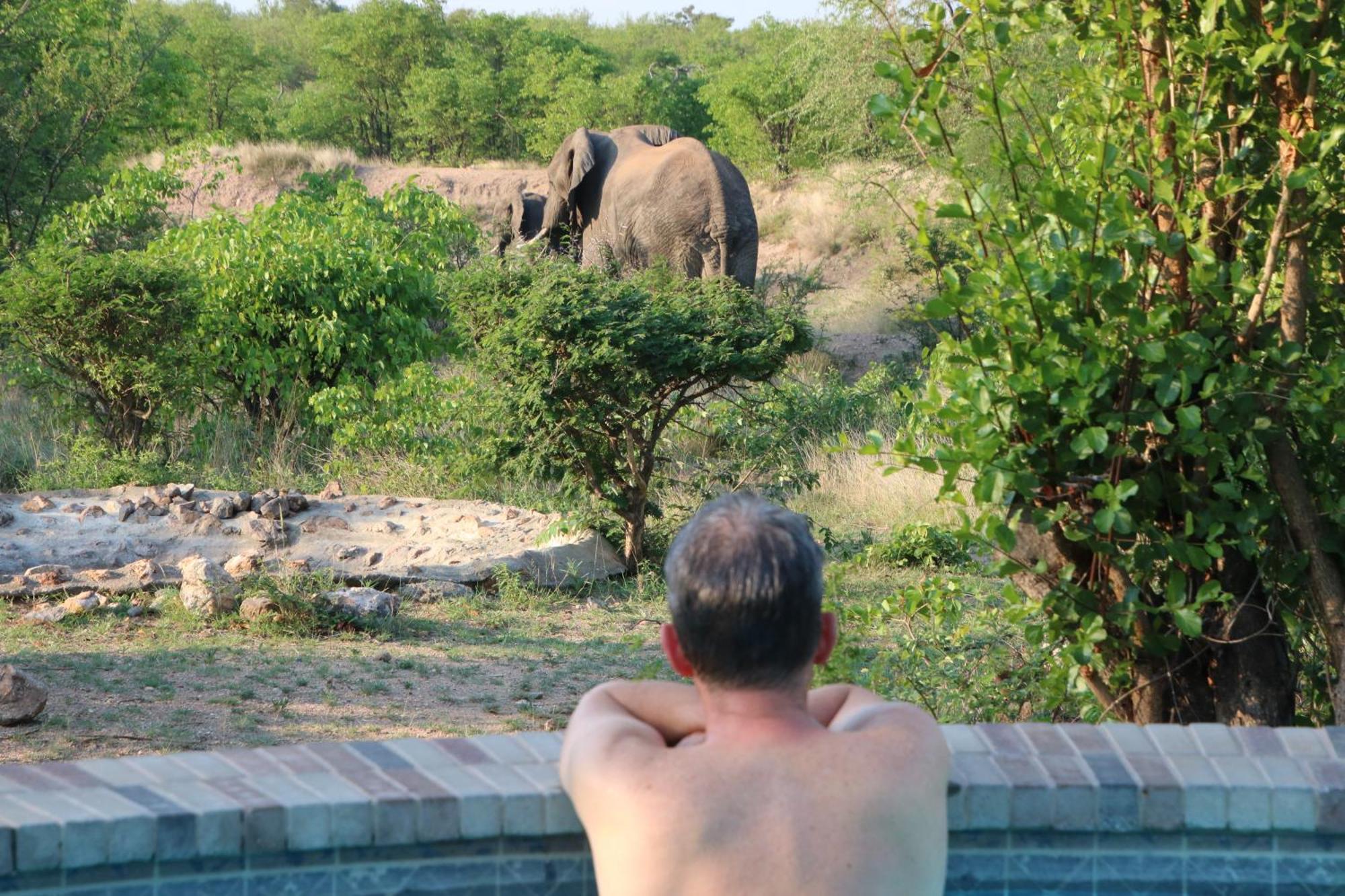 Bushvilla Umoja Kruger Phalaborwa Eksteriør bilde
