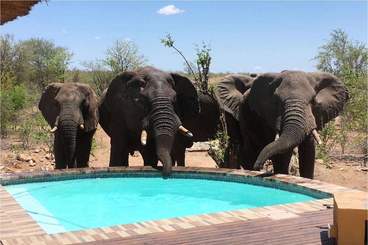 Bushvilla Umoja Kruger Phalaborwa Eksteriør bilde
